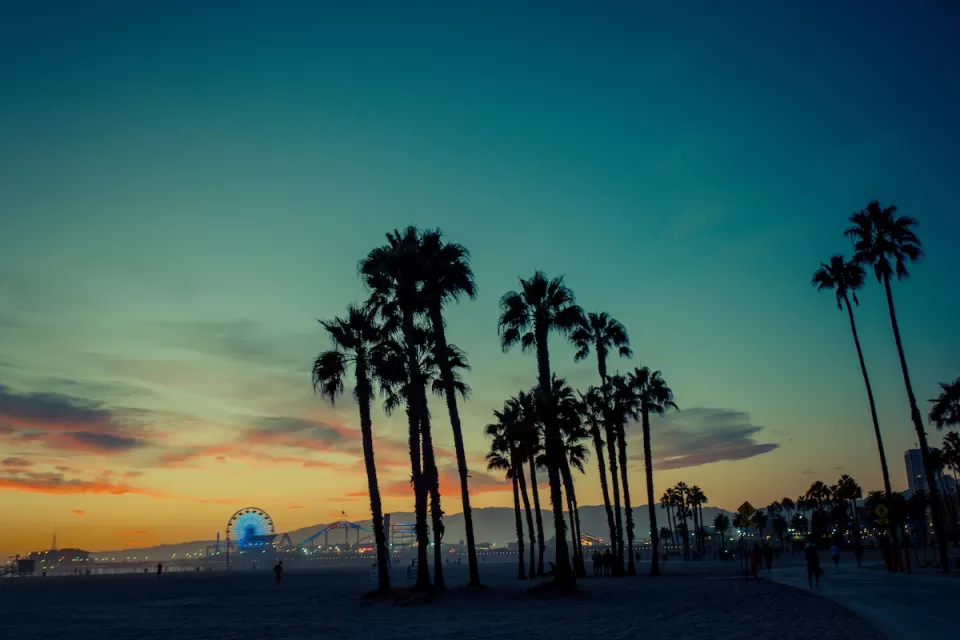 Palm trees sillhouetted against dark evening sky at Santa Monica Beach with pier with illuminated Ferris wheel in background.